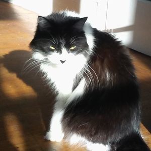 Meet your Posher, Julia